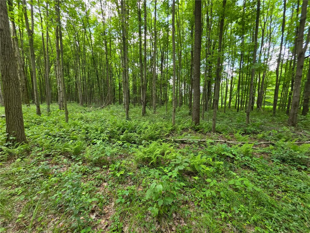 0 Fox Mine Rd