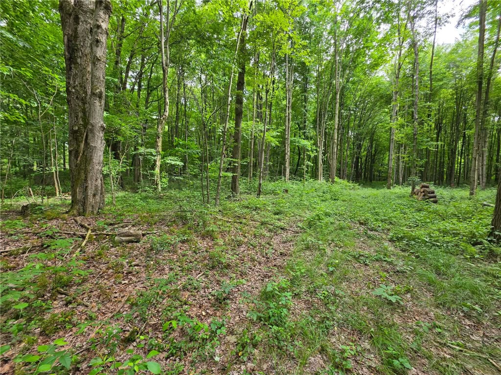 0 Fox Mine Rd