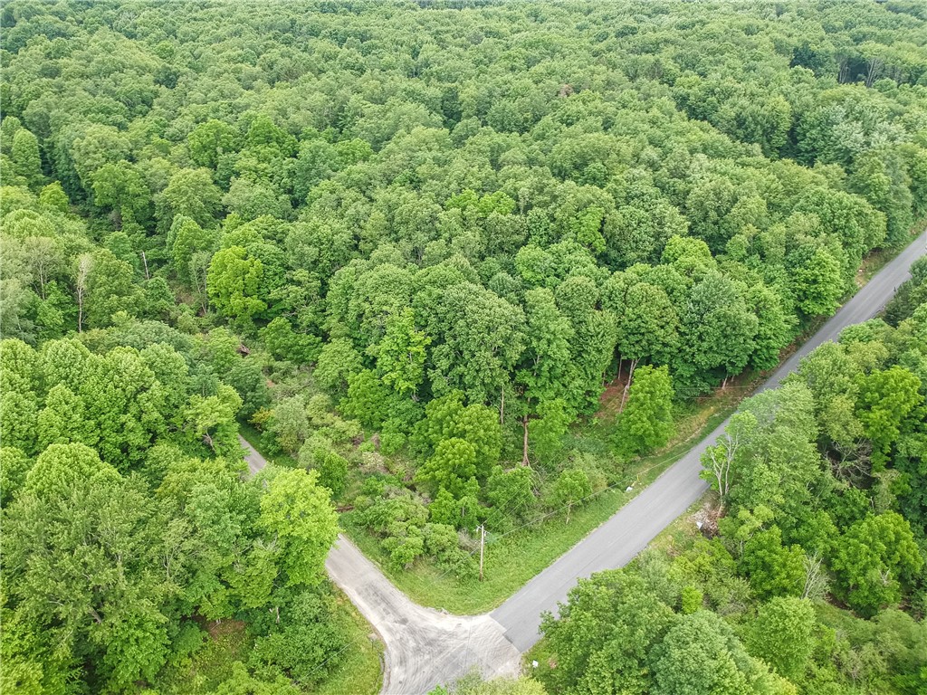 365 Klein Rd