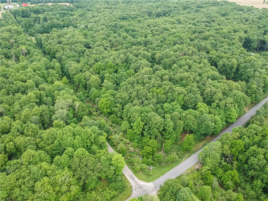365 Klein Rd