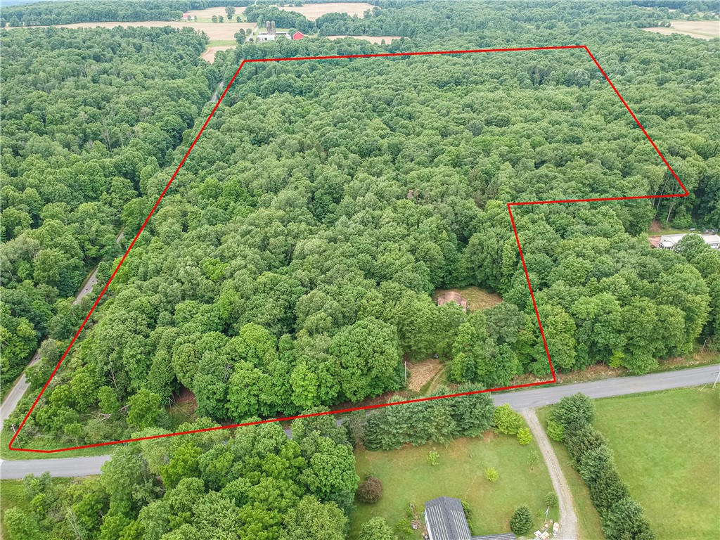 365 Klein Rd