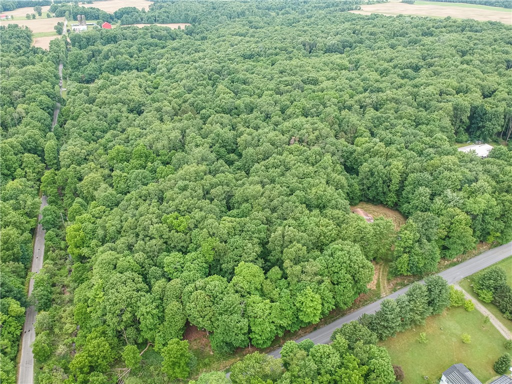 365 Klein Rd