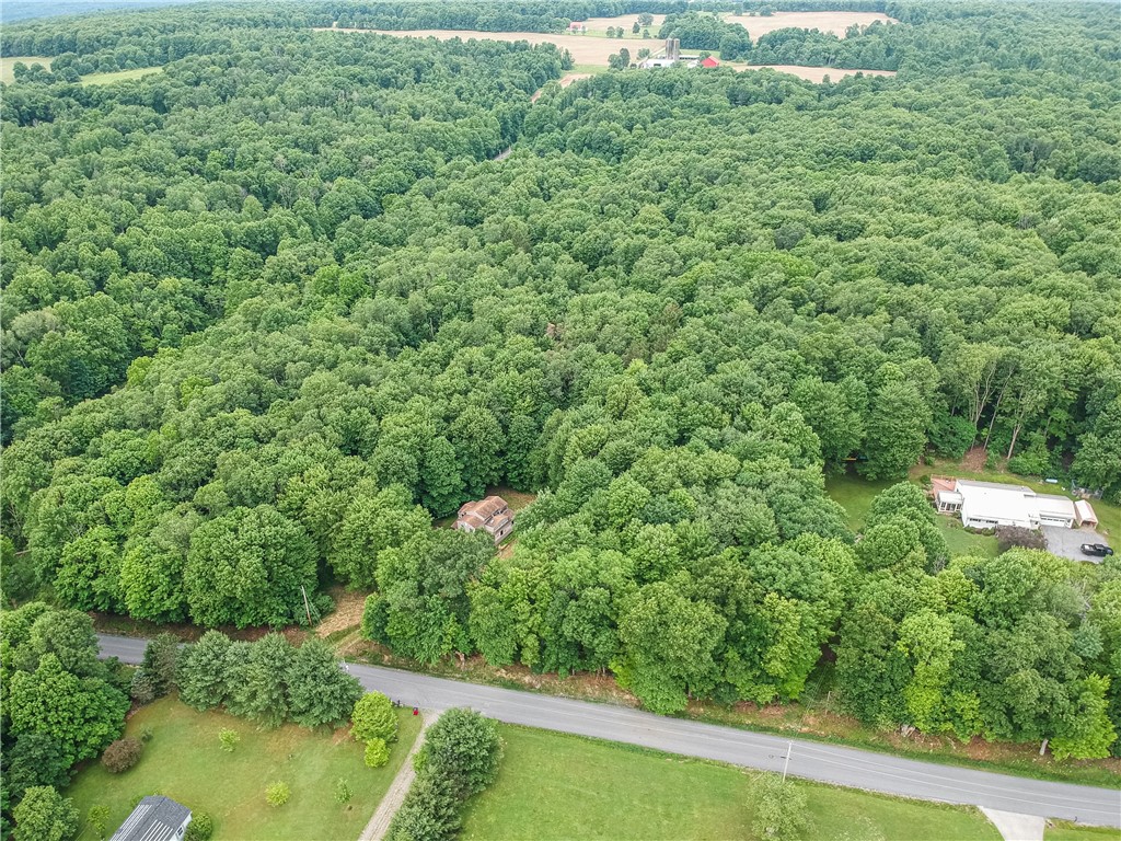 365 Klein Rd