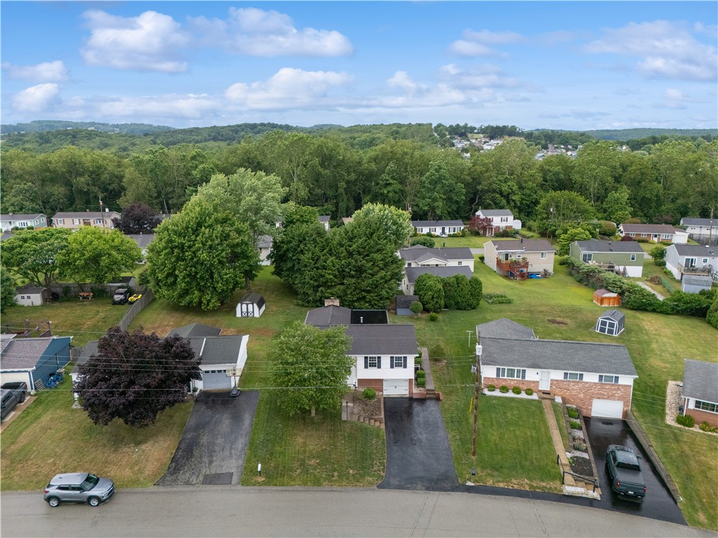 223 Eleanor Dr
