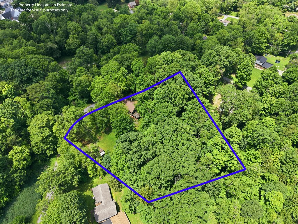 3109 Lake Rd