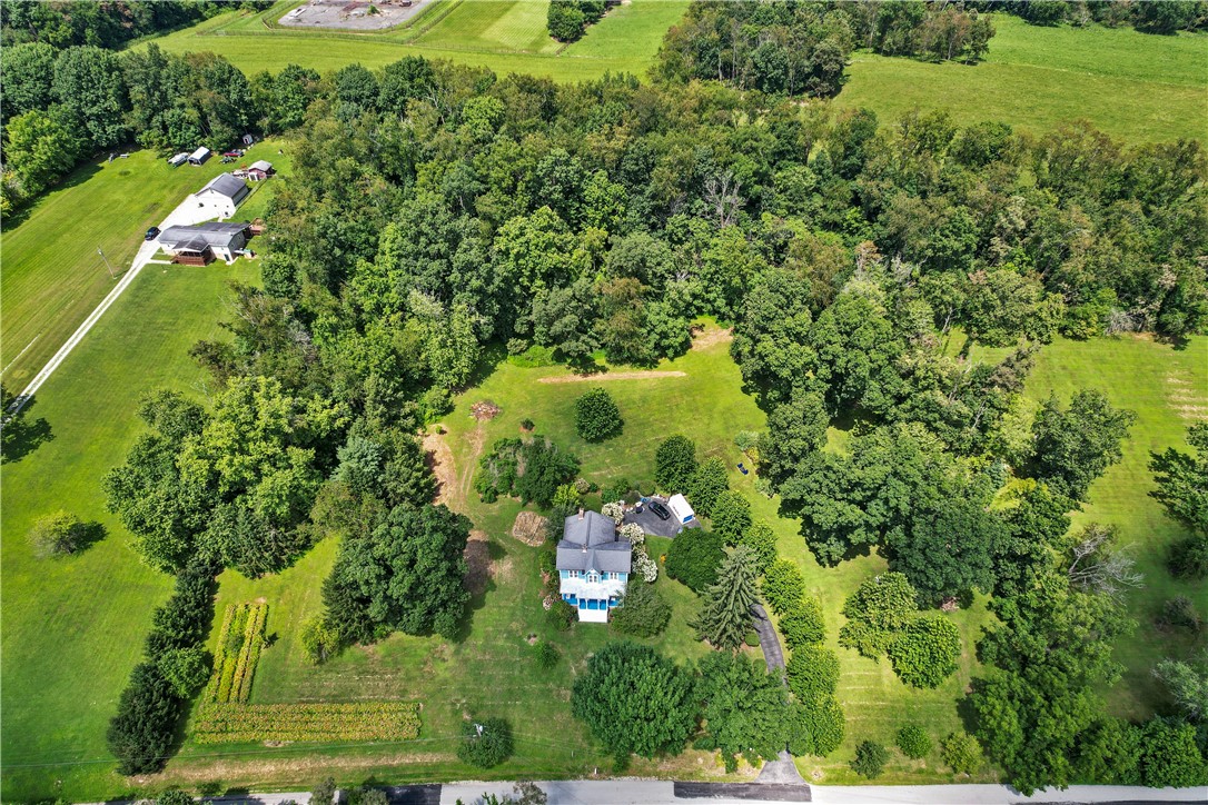 275 Wolfe Ln