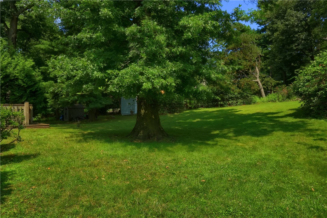 1557 Lenora Dr