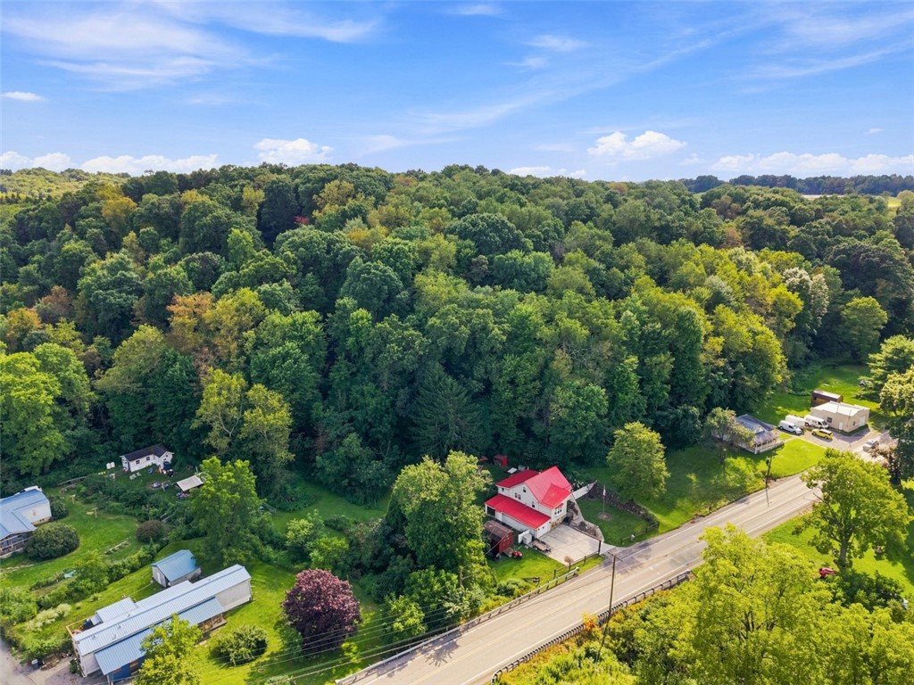 286 Big Knob Rd