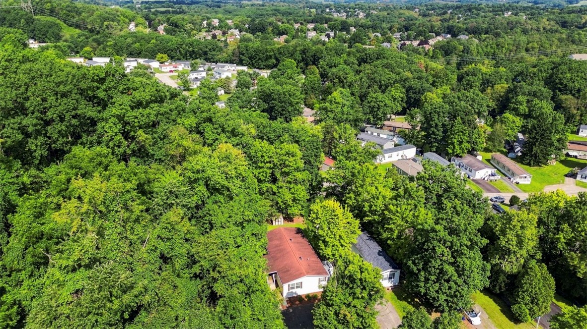 34 Yew Ct
