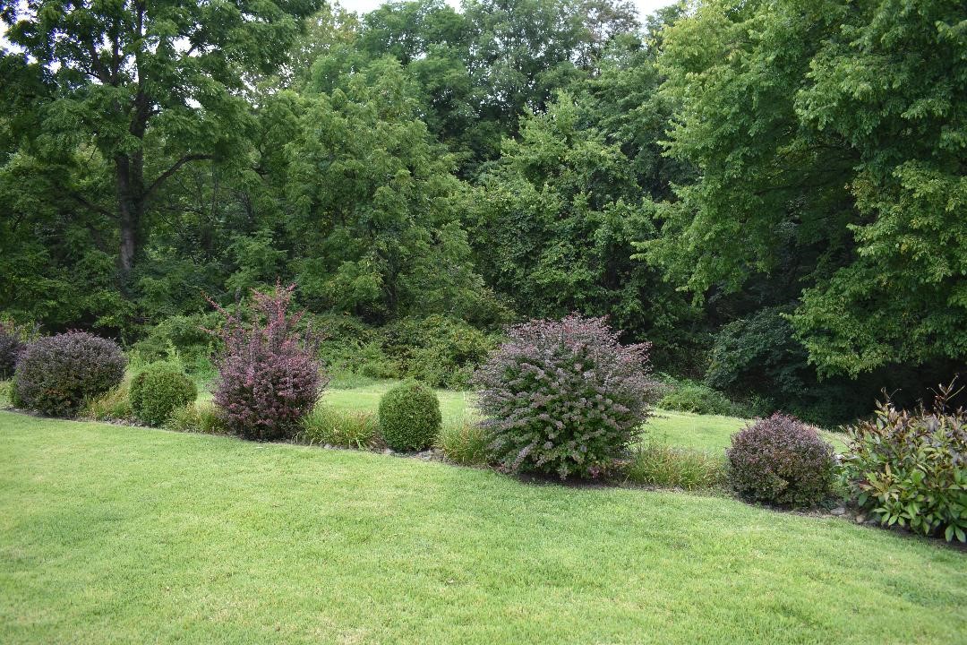 706 Lechner Ln