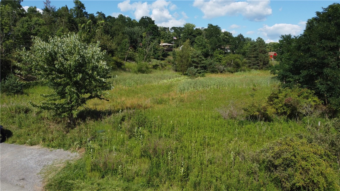 Grassy field bordered by trees, with a gravel drive and distant buildings.