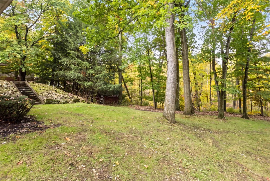 148 Carol Rose Dr