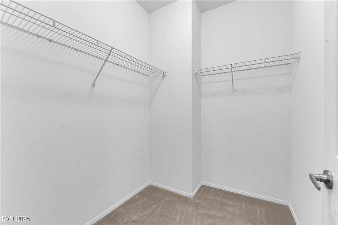 1525 Spiced Wine Avenue 10102