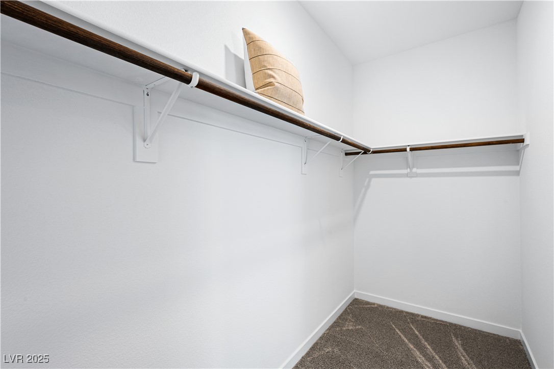 348 Brighton Bluffs Place