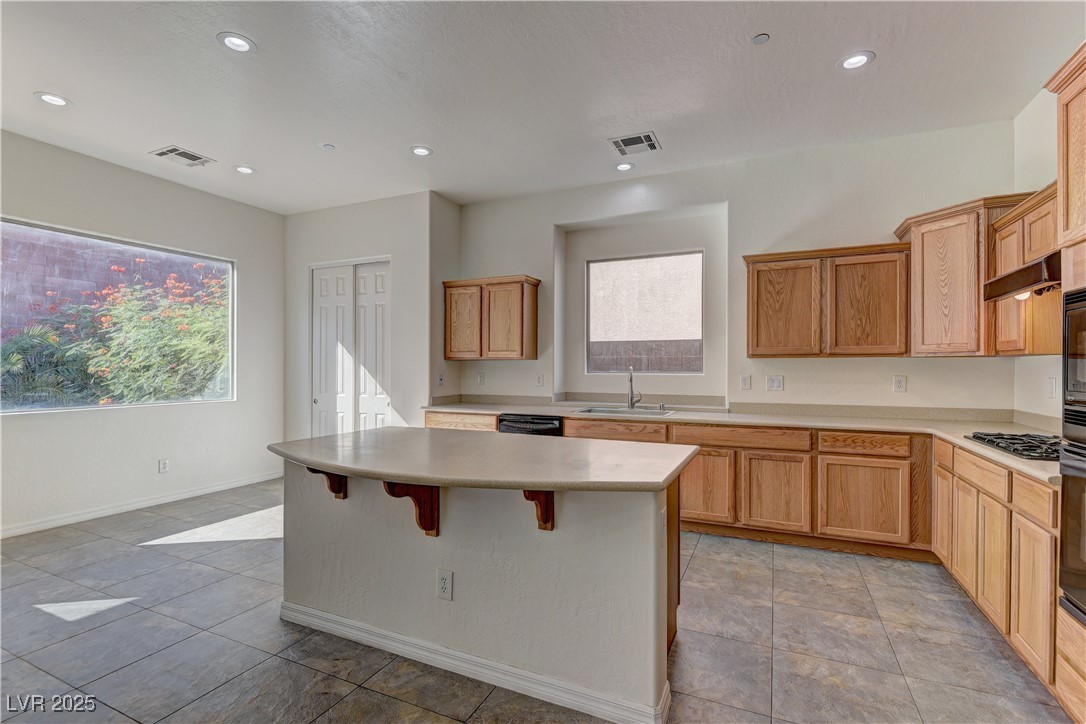 225 Palmetto Pointe Drive