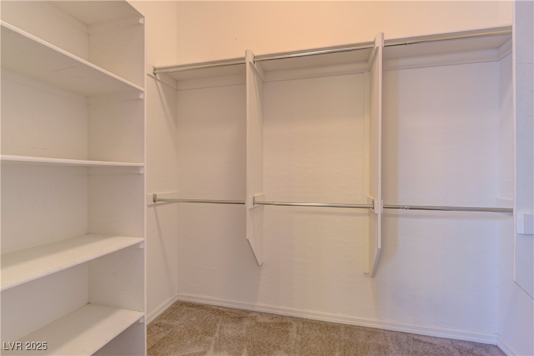 225 Palmetto Pointe Drive