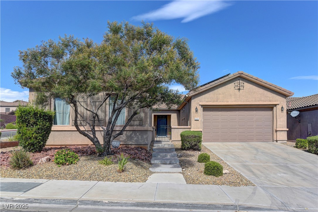 225 Palmetto Pointe Drive