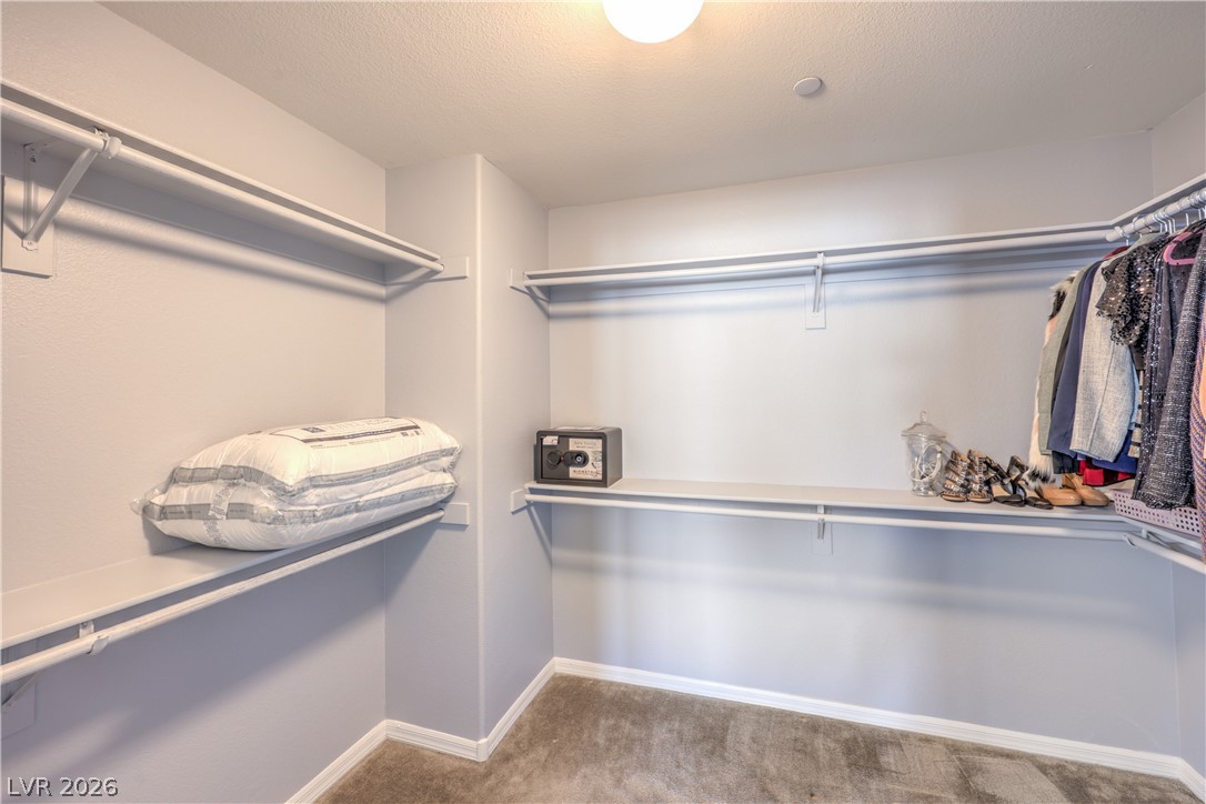 50 Morning Mimosa Court