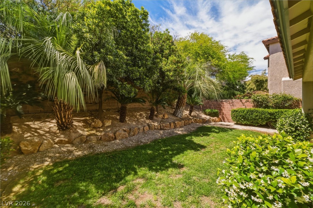 557 Tecate Valley Street