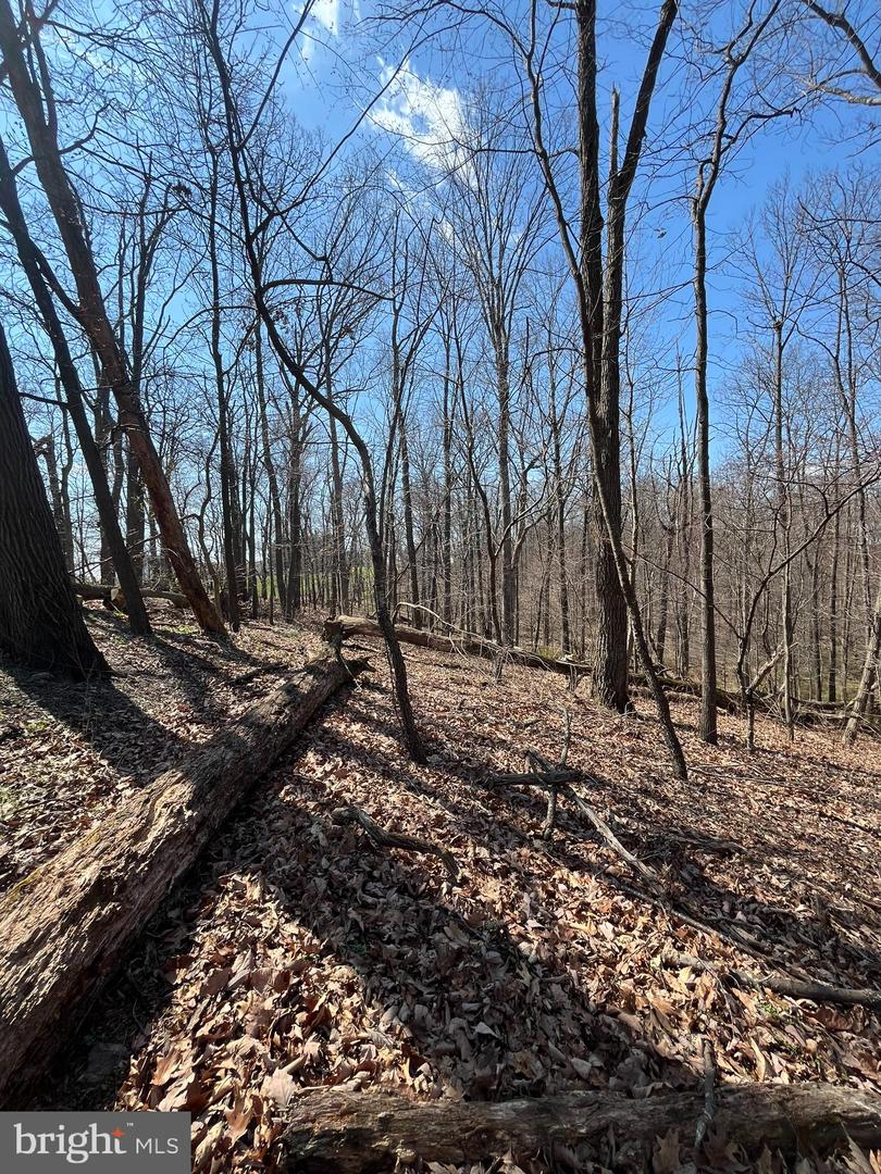 Lot 60 E Mayberry Rd