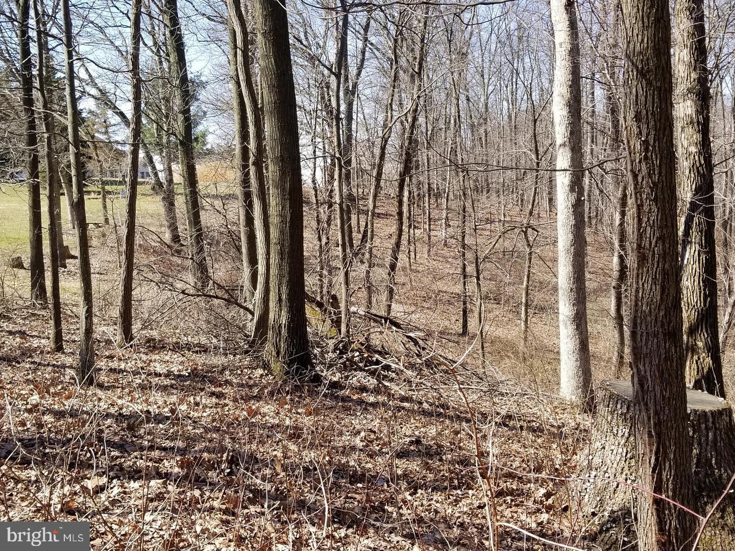 Lot 60 E Mayberry Rd