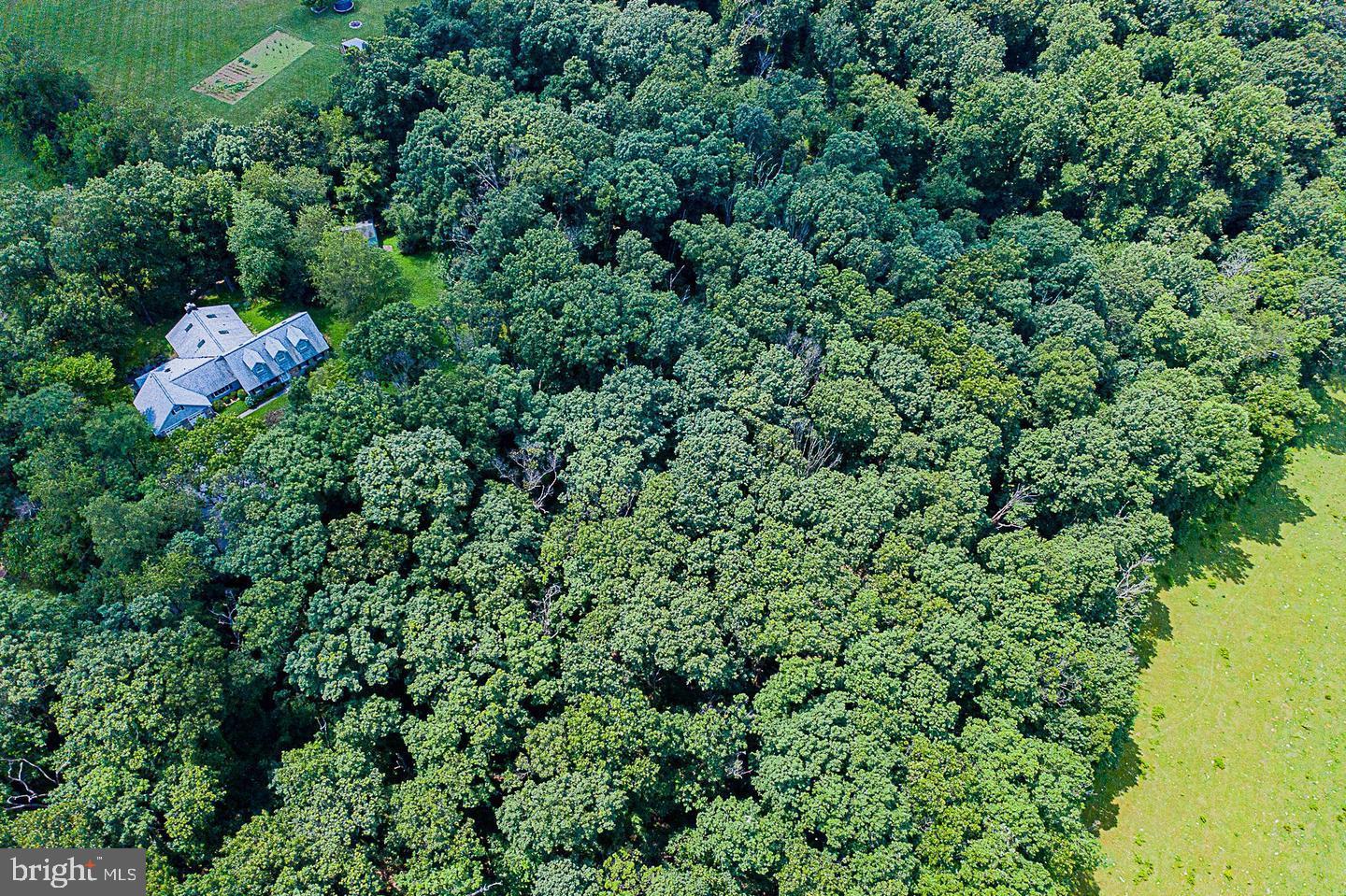 Lot 60 E Mayberry Rd