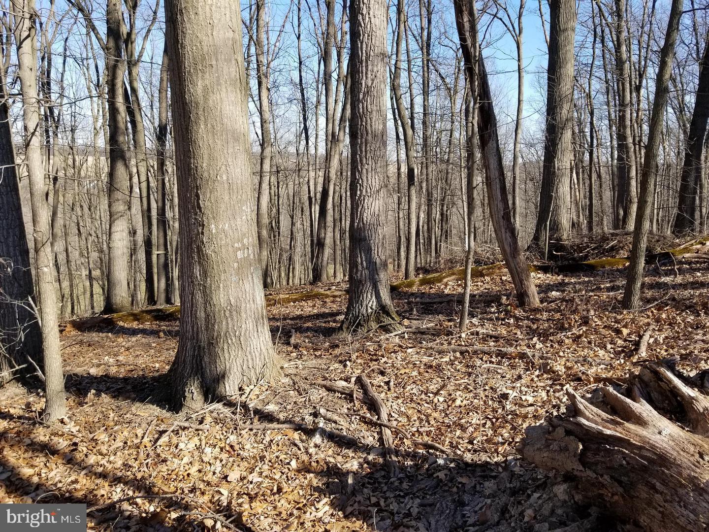Lot 60 E Mayberry Rd