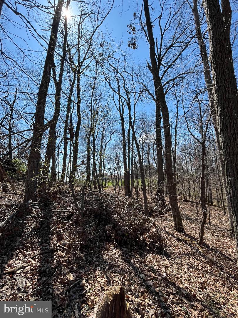 Lot 60 E Mayberry Rd