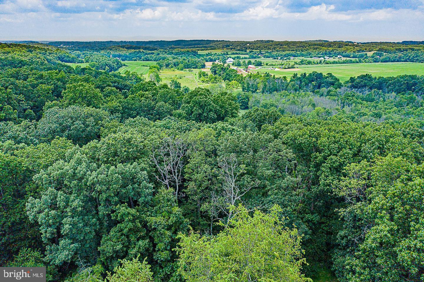 Lot 60 E Mayberry Rd