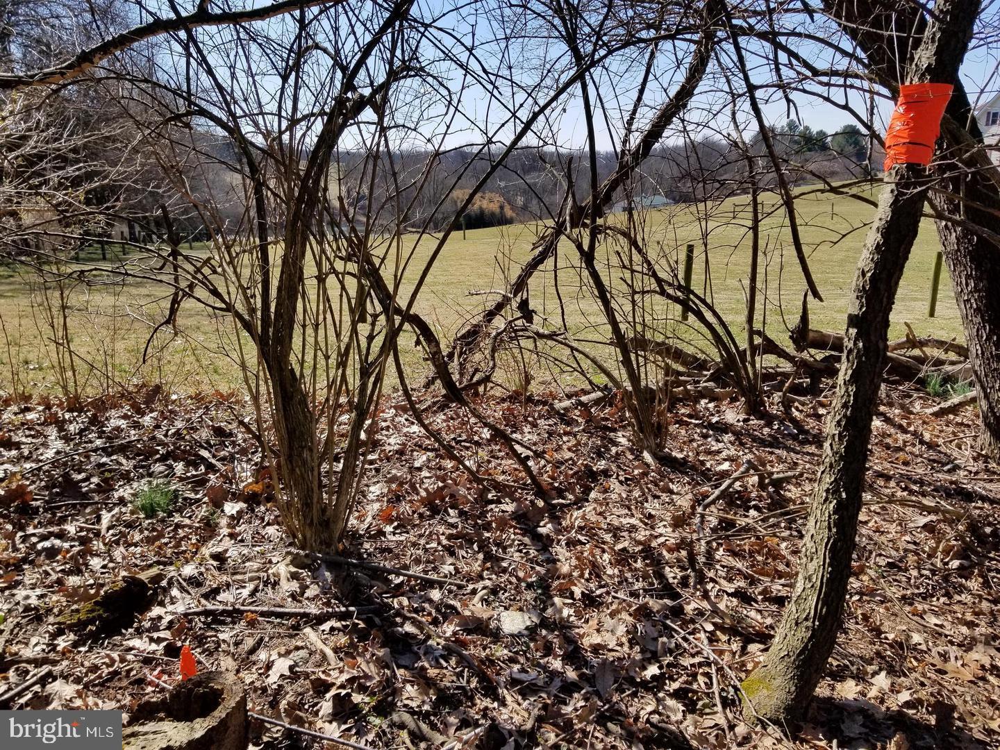 Lot 60 E Mayberry Rd