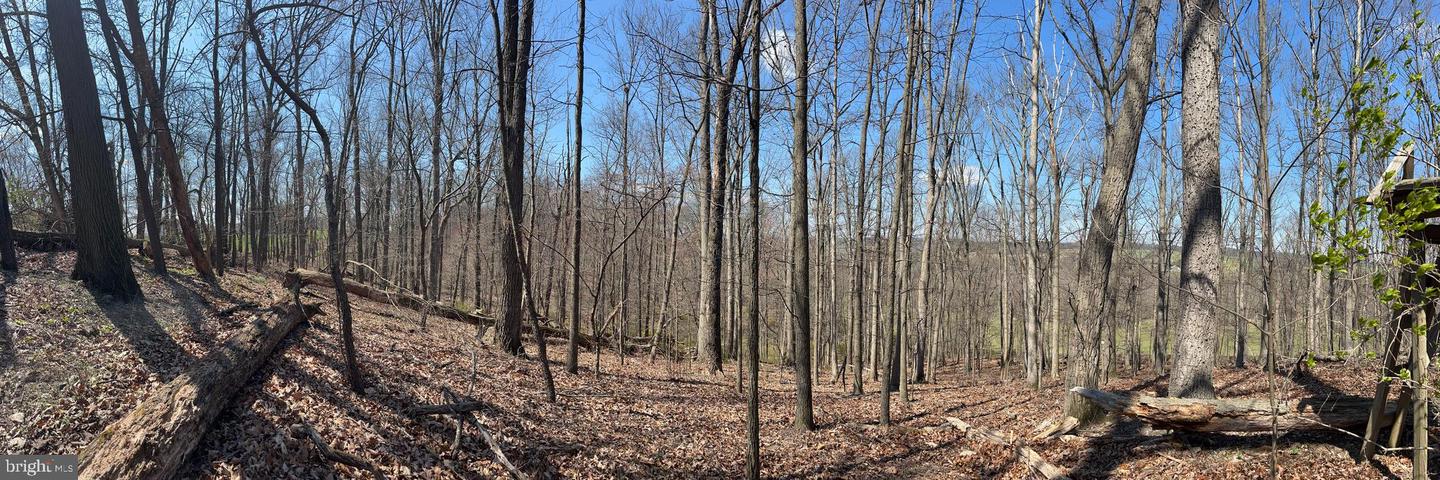 Lot 60 E Mayberry Rd