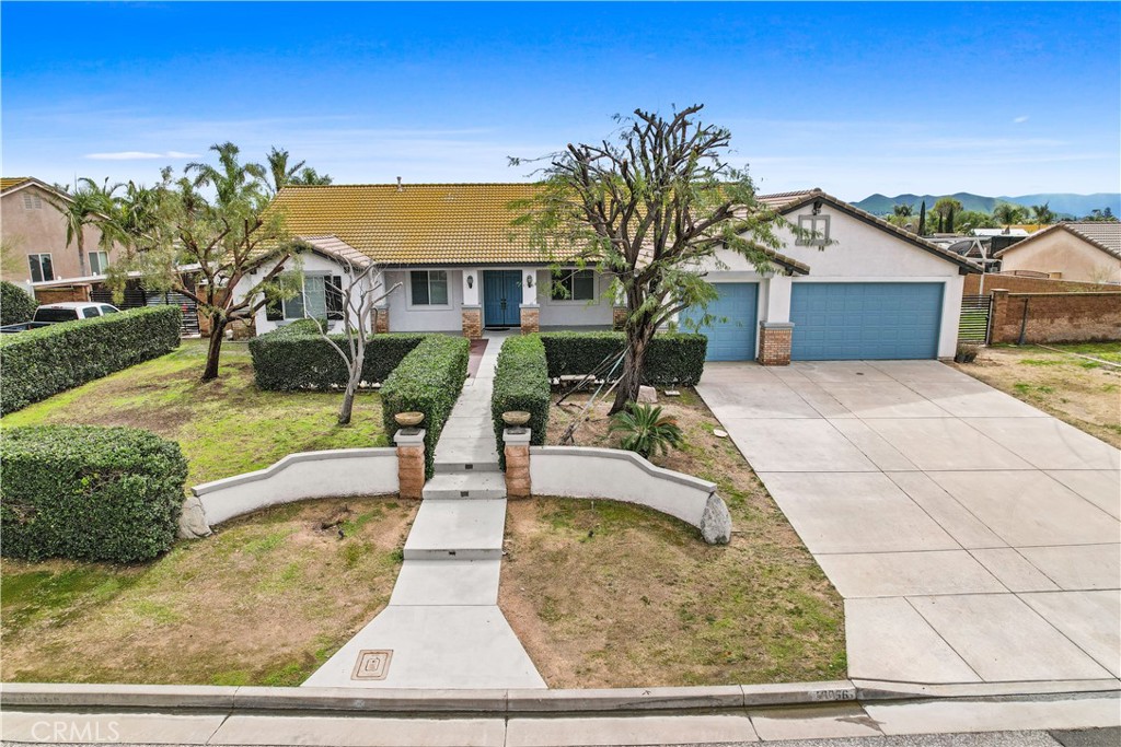 10066 Willowbrook Road