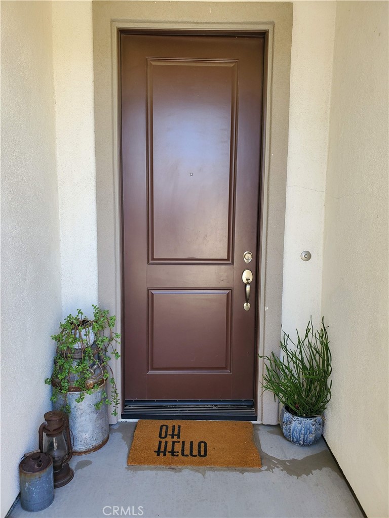74185 Anastacia Lane