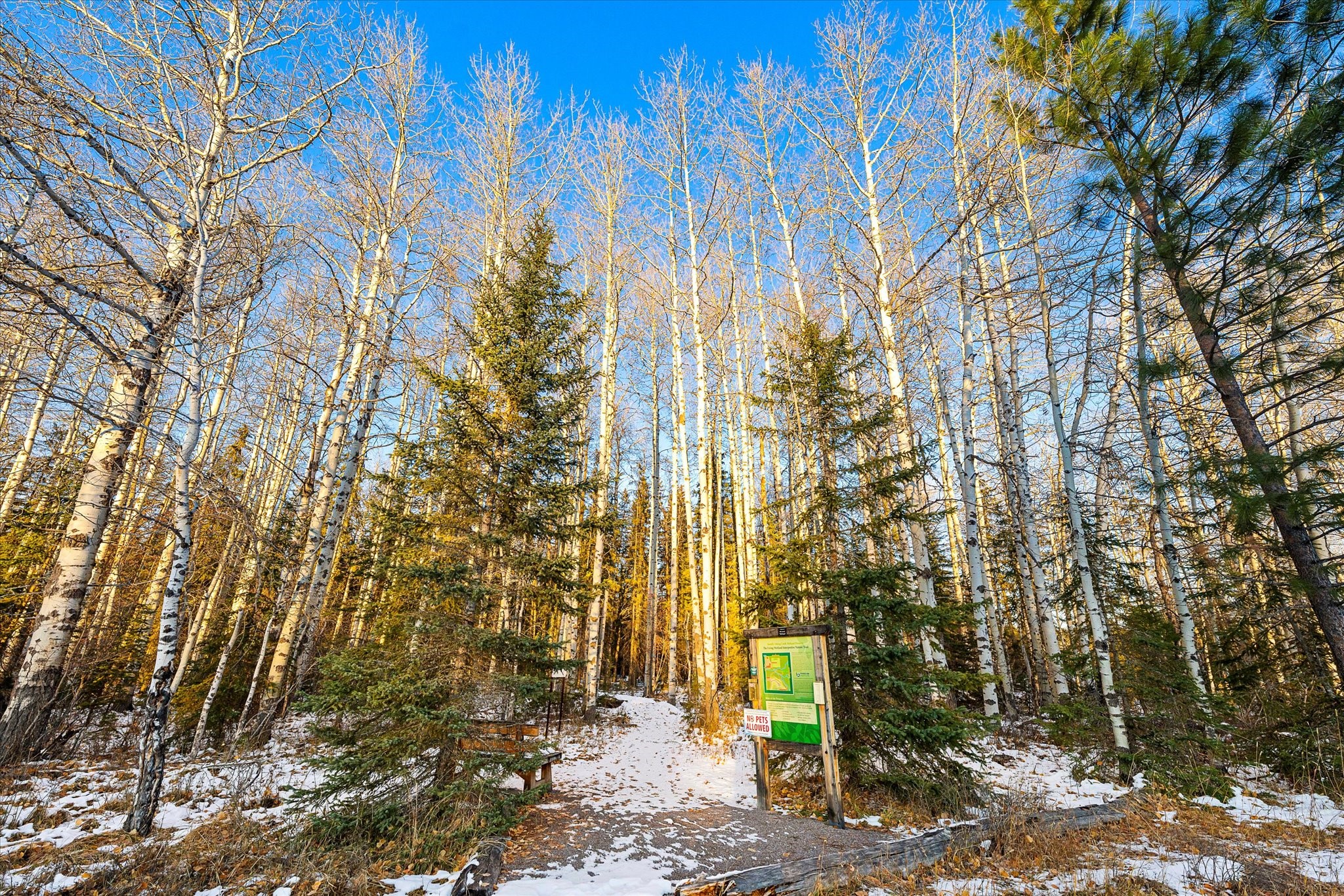 69 Colorado Drive B
