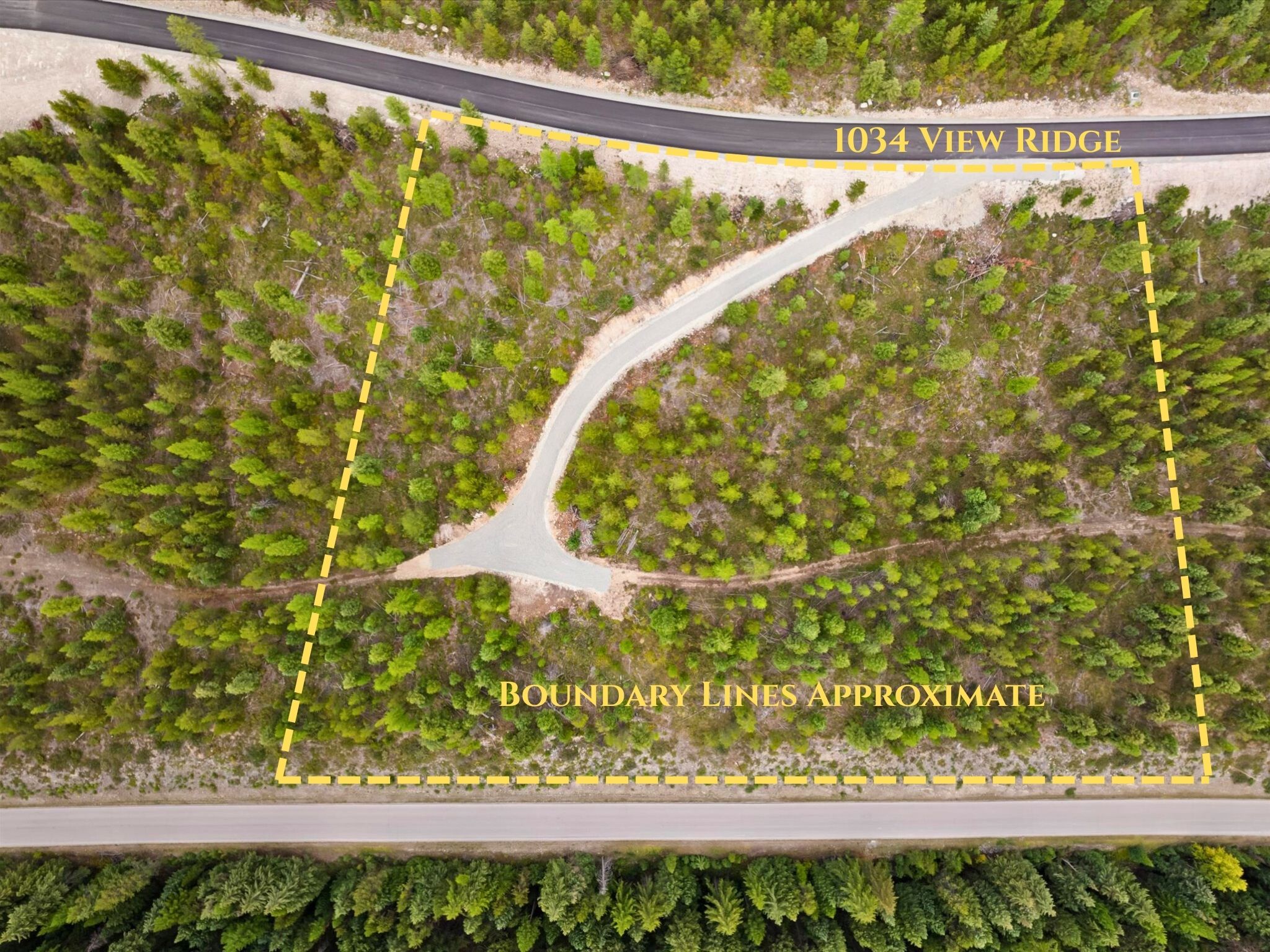 Aerial view of a wooded lot outlined by dashed yellow boundary lines, with a curved driveway between two roads.