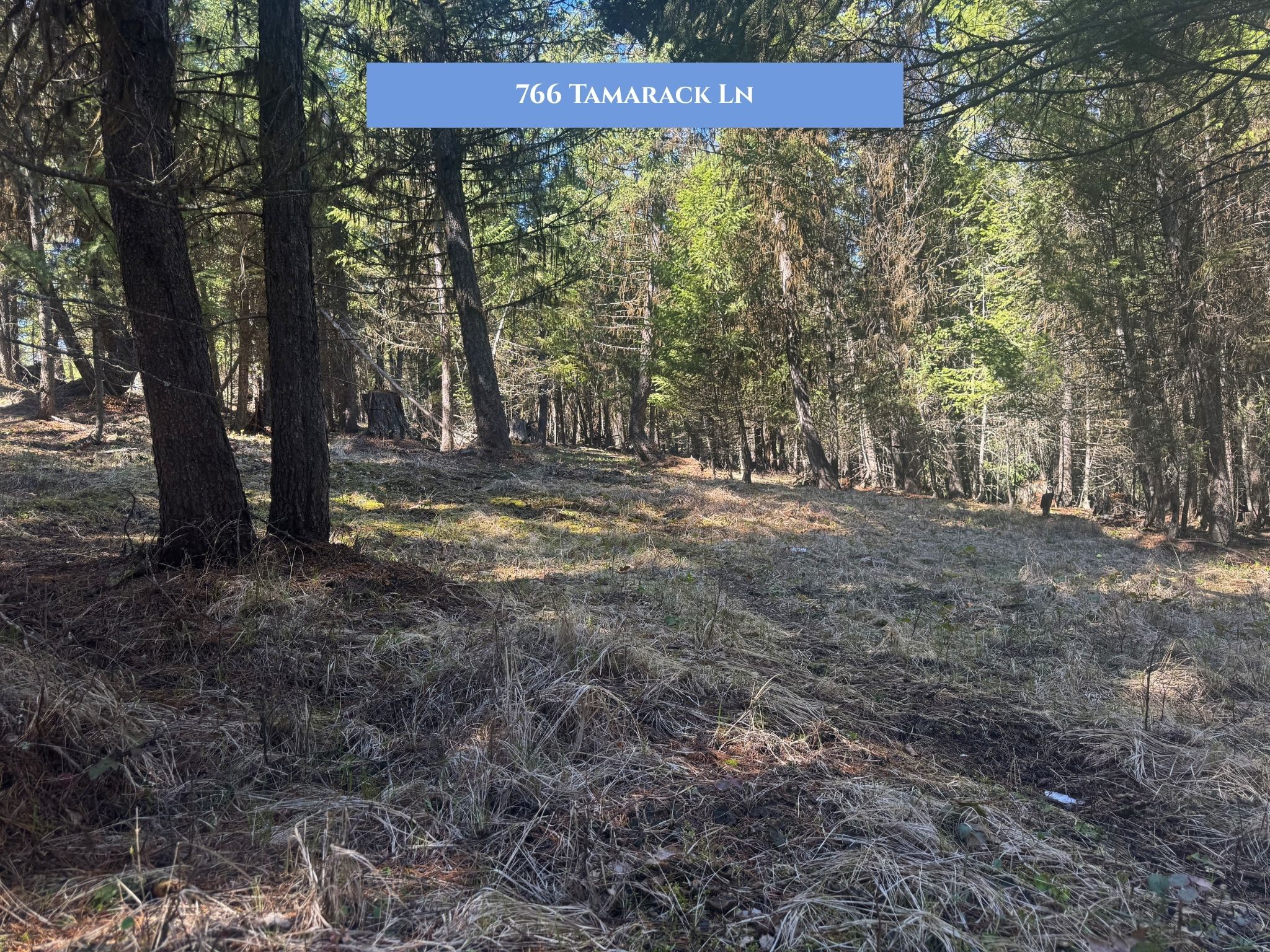 766 Tamarack Lane