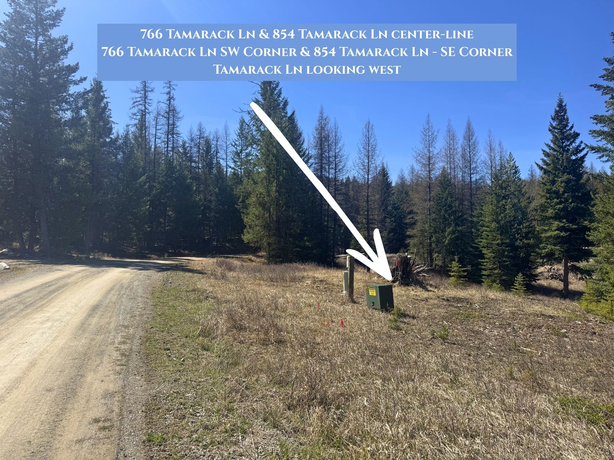 766 and 854 Tamarack Lane