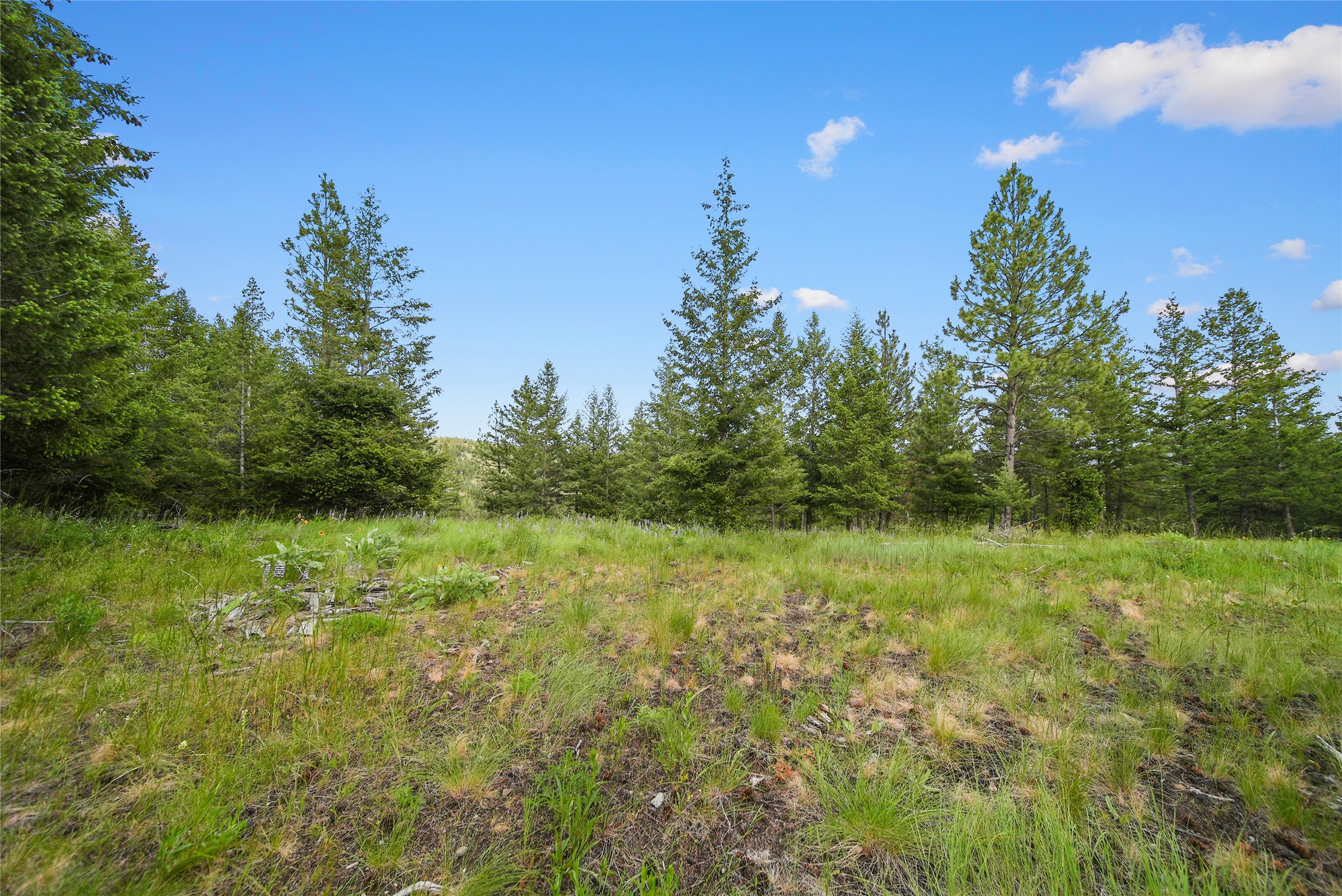 1895 Kienas Road
