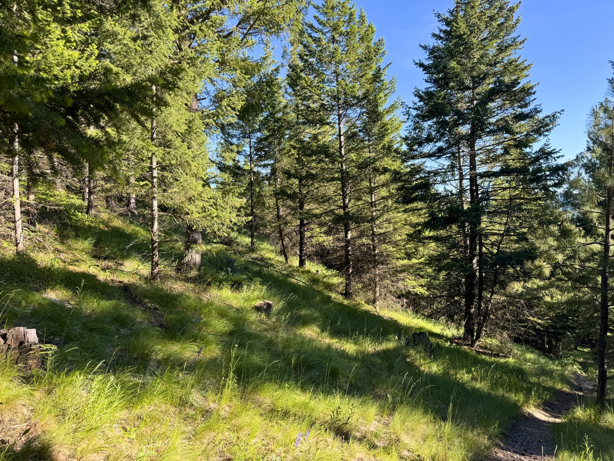 1895 Kienas Road