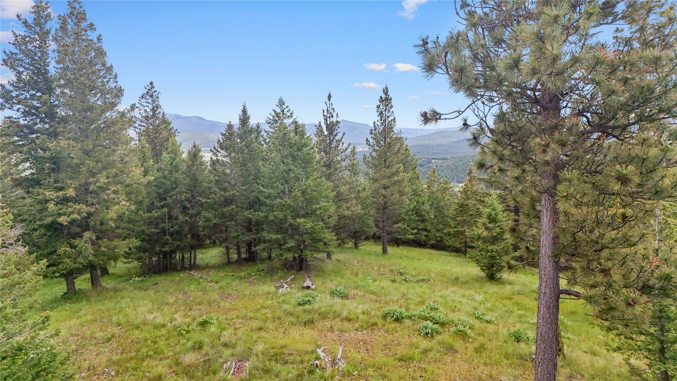 1895 Kienas Road