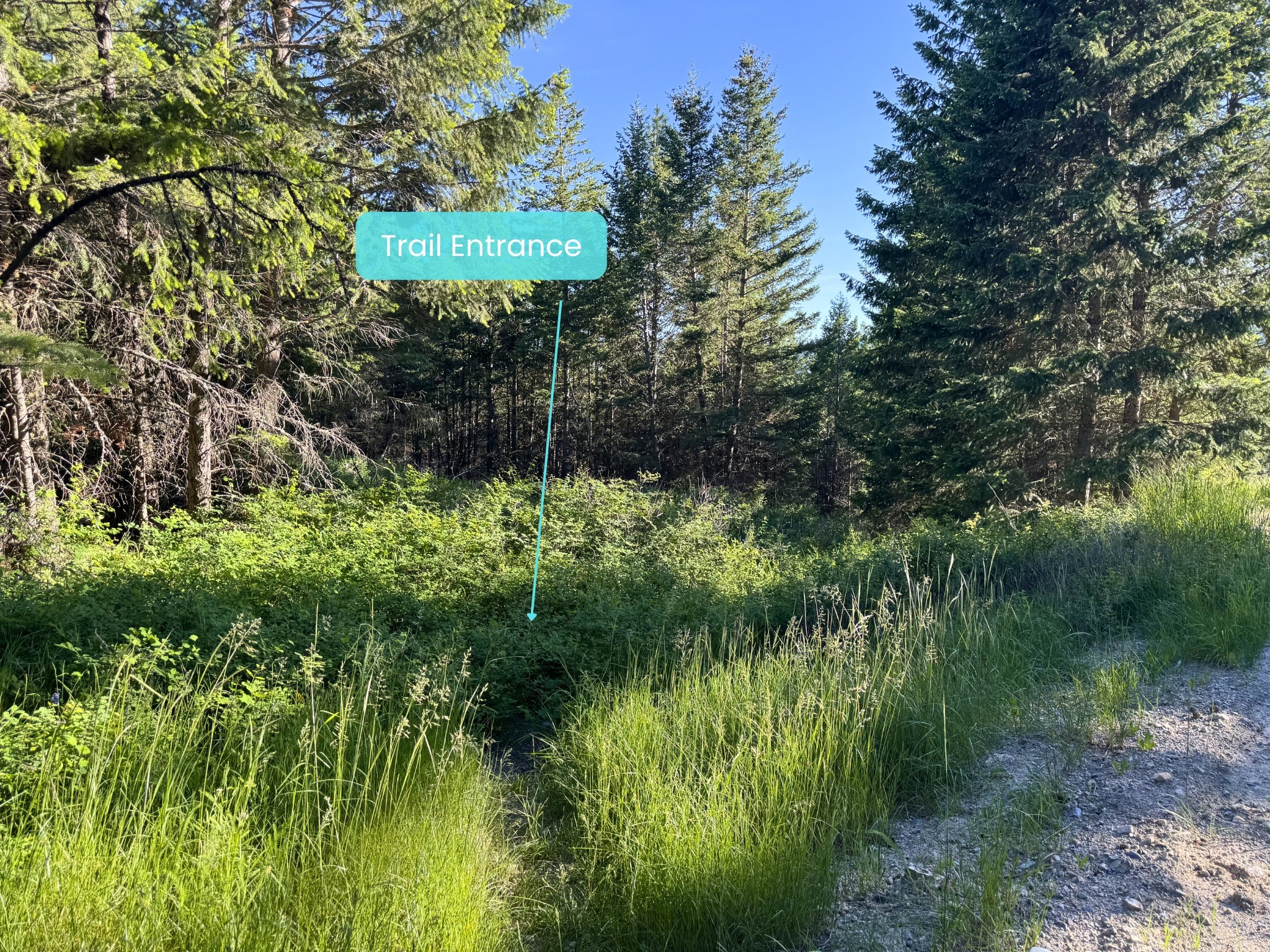 1895 Kienas Road