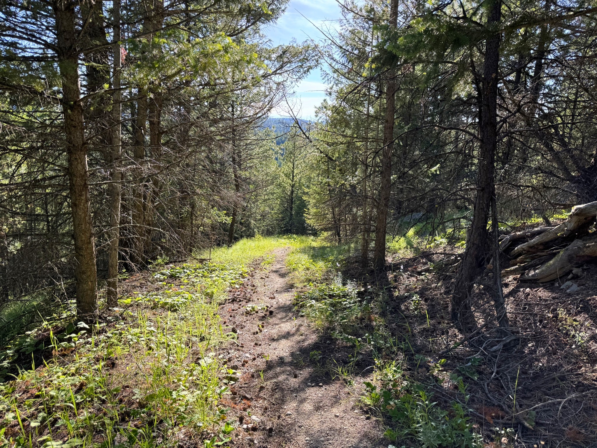 1895 Kienas Road