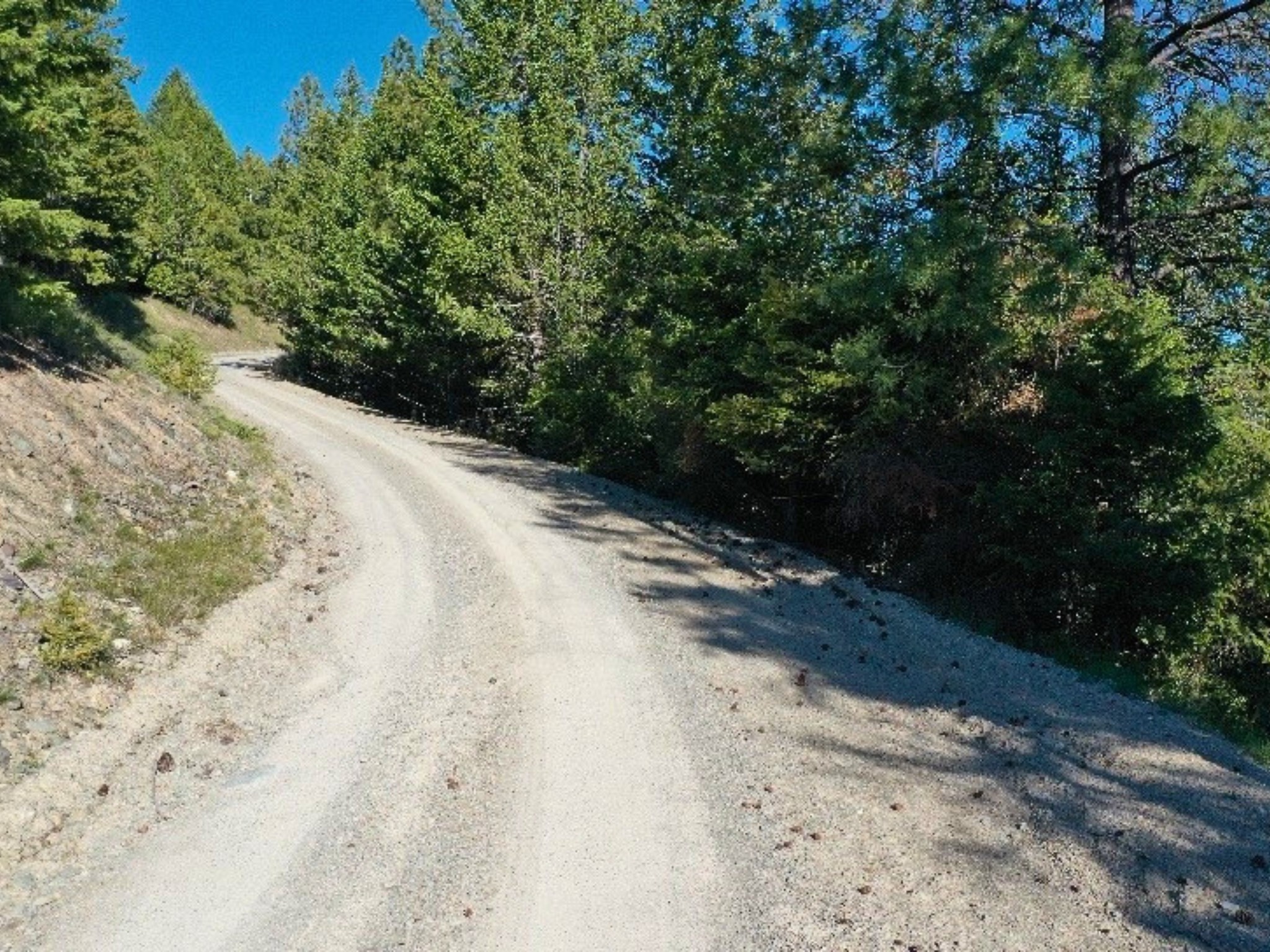 1895 Kienas Road
