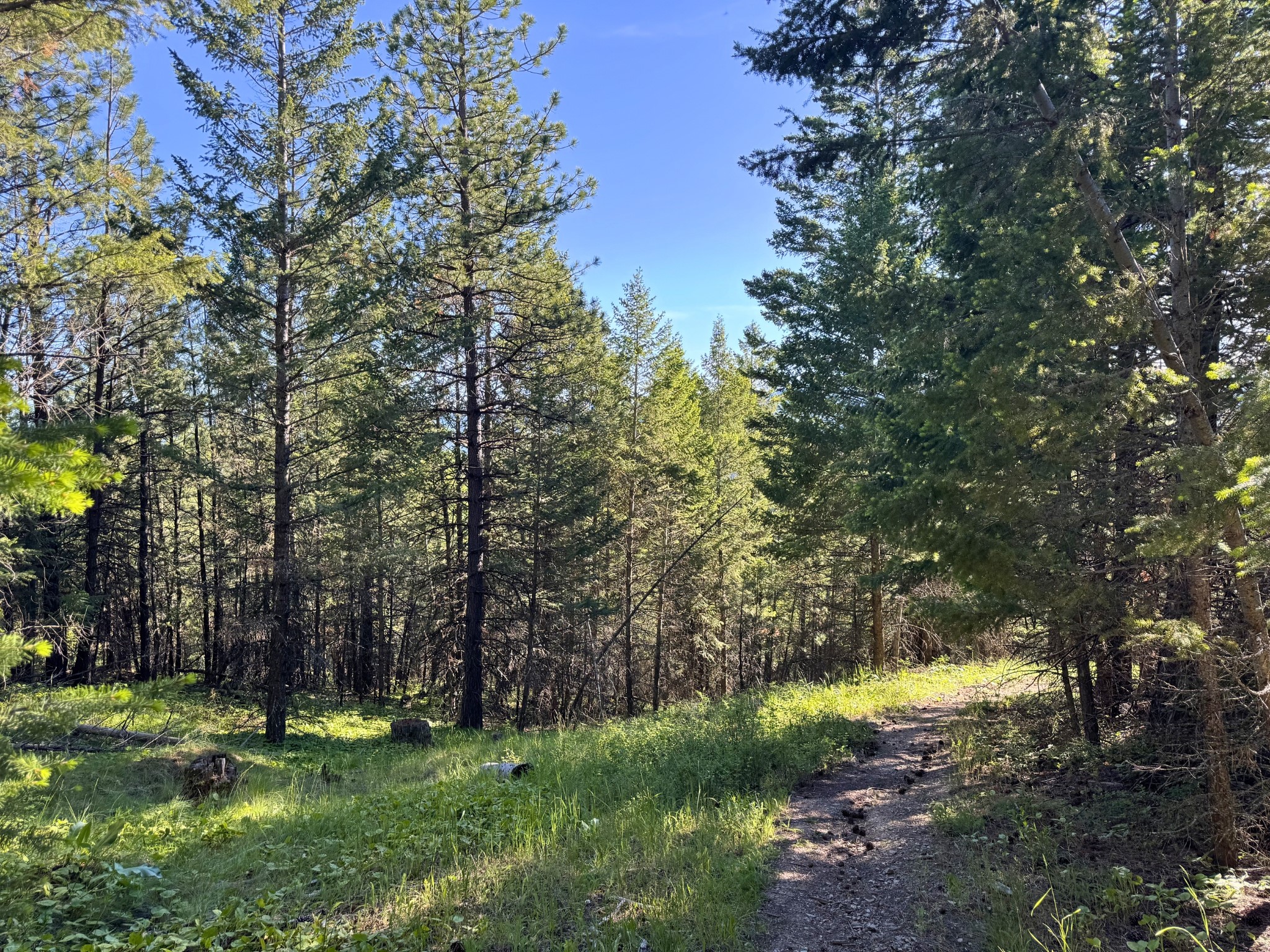 1895 Kienas Road