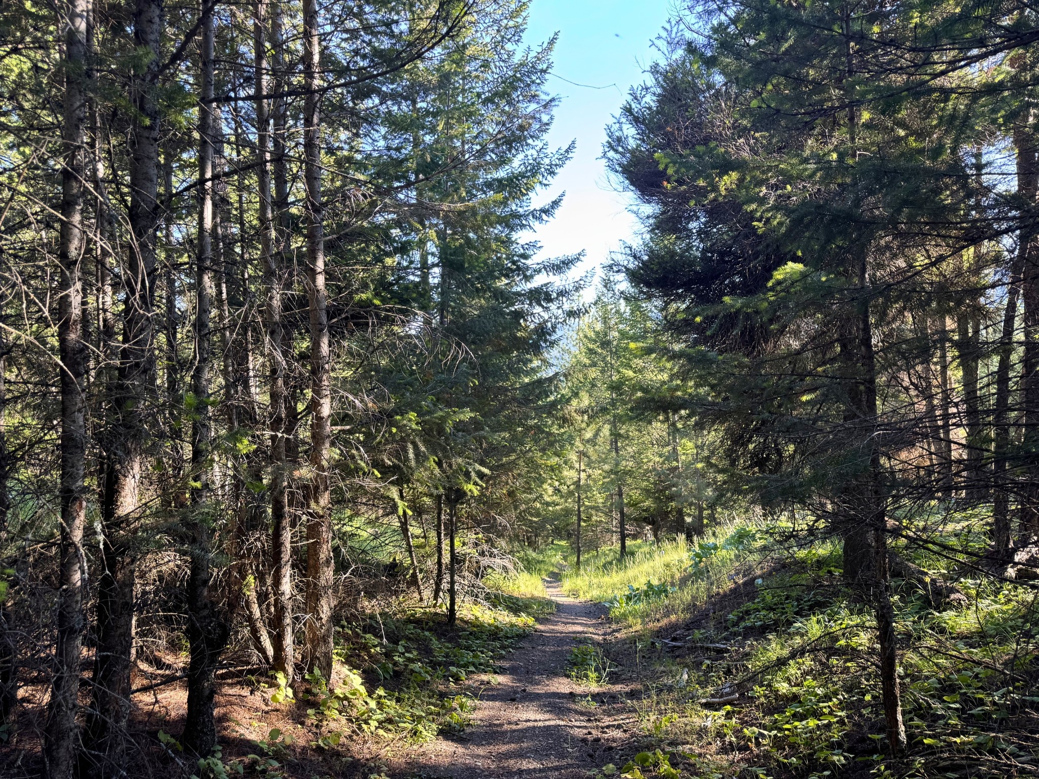 1895 Kienas Road