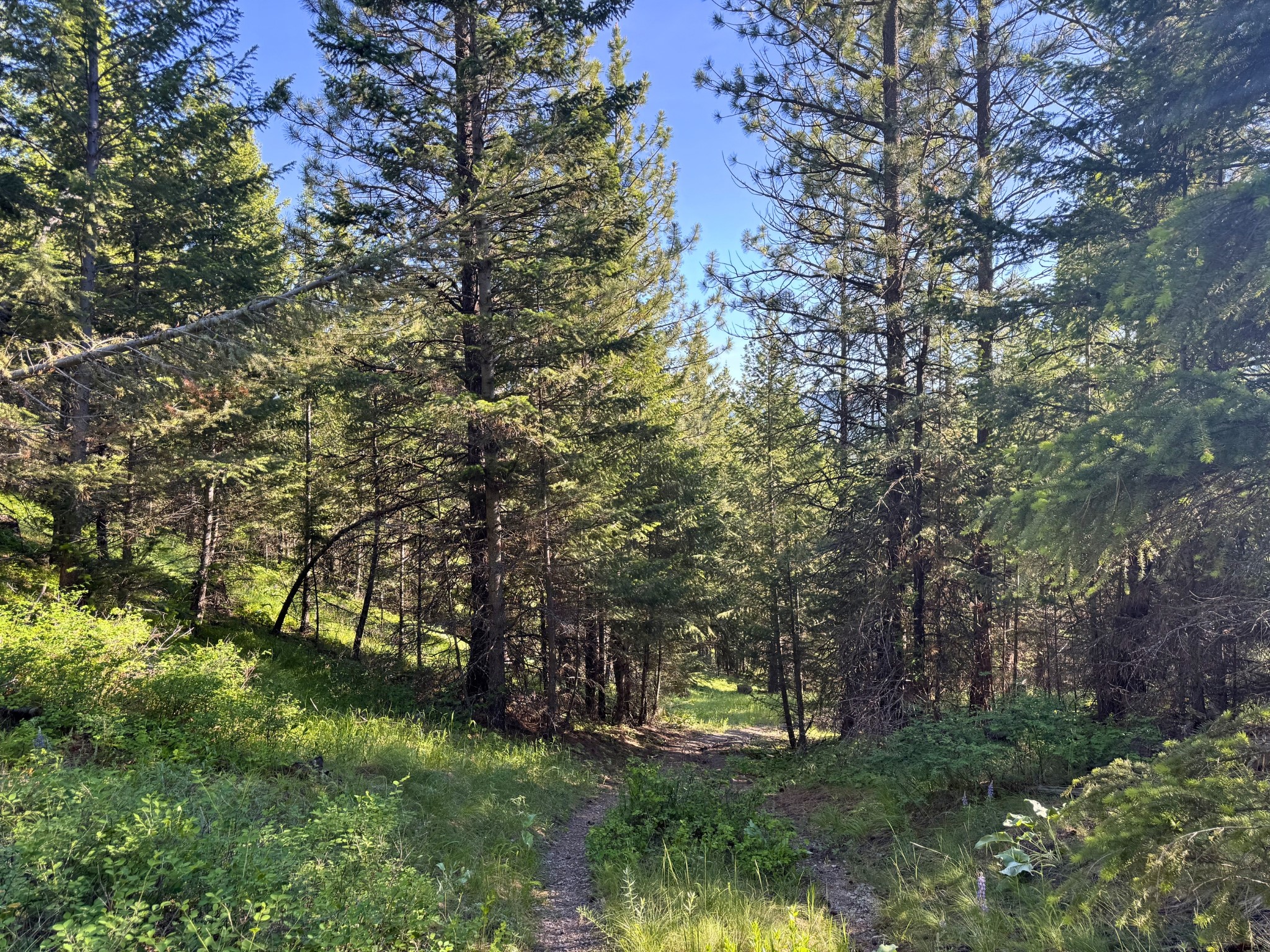 1895 Kienas Road
