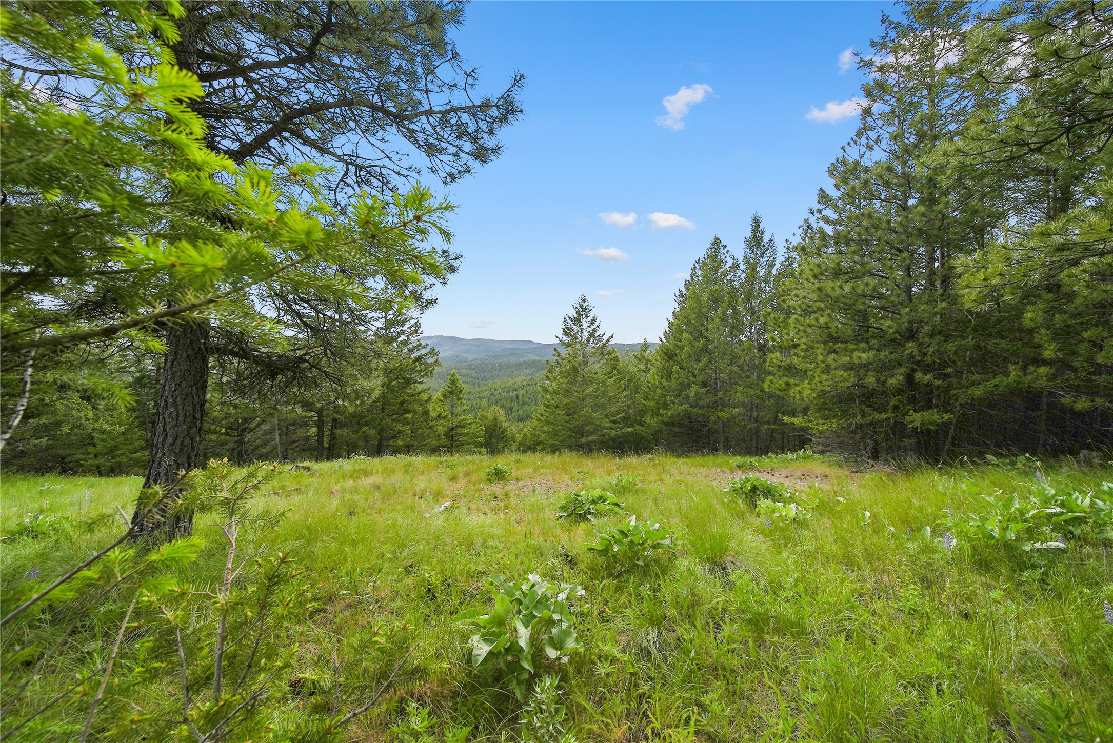 1895 Kienas Road