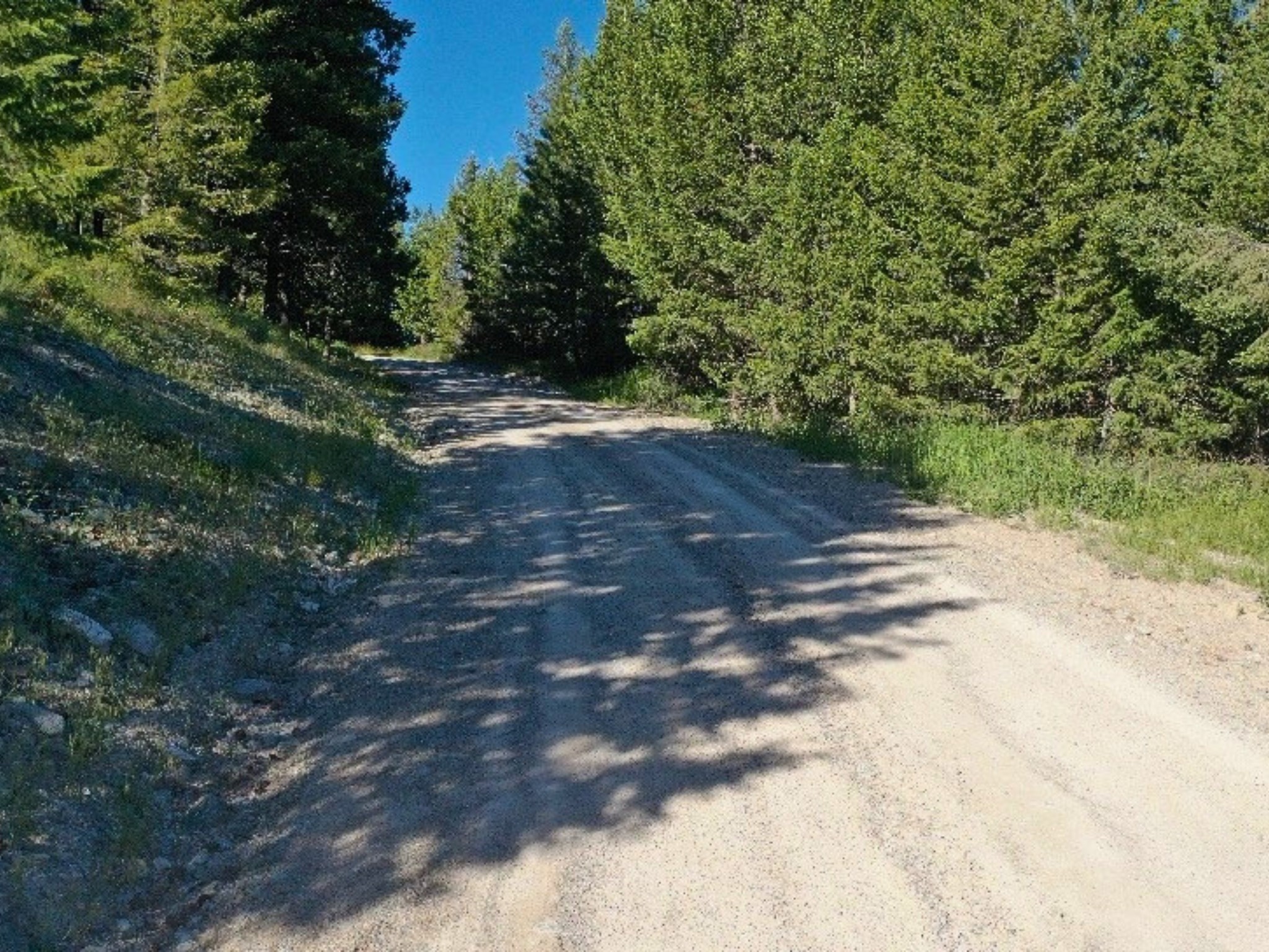 1895 Kienas Road