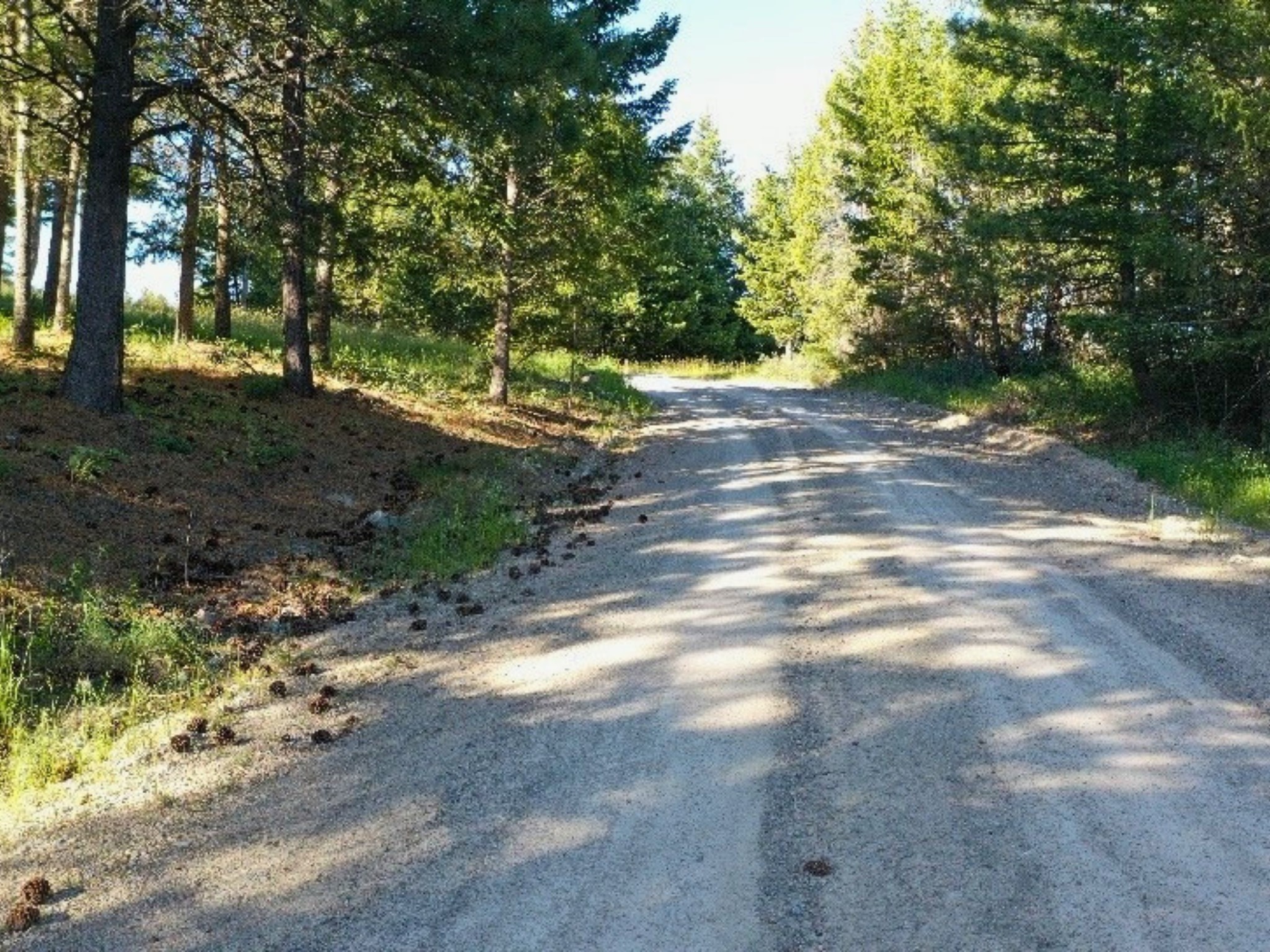 1895 Kienas Road