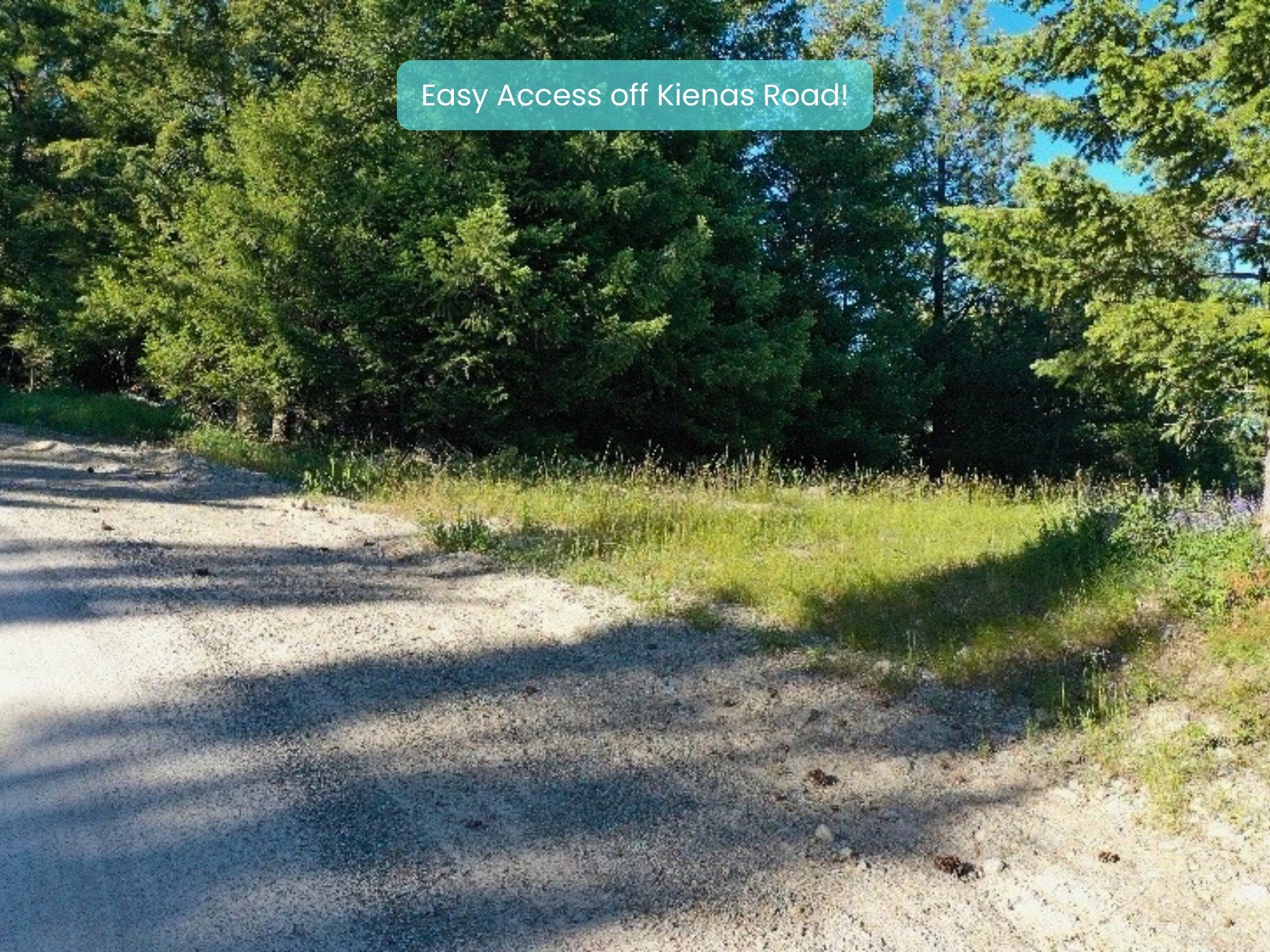 1895 Kienas Road